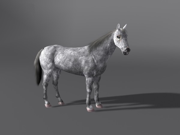 3d model horse - Horse by Schloder87