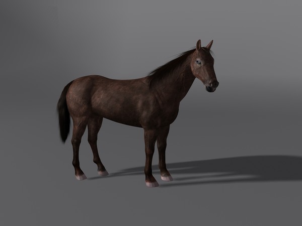 3d model horse - Horse by Schloder87