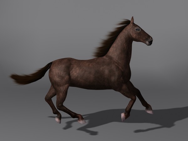 3d model horse - Horse by Schloder87