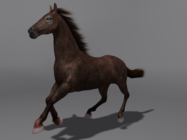 3d model horse - Horse by Schloder87