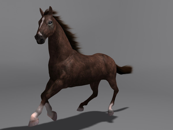 3d model horse - Horse by Schloder87