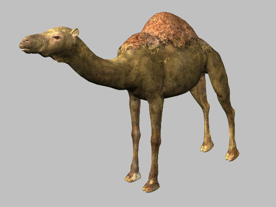 3d model animals 3d: - DOSCH 3D: Animals by Dosch Design
