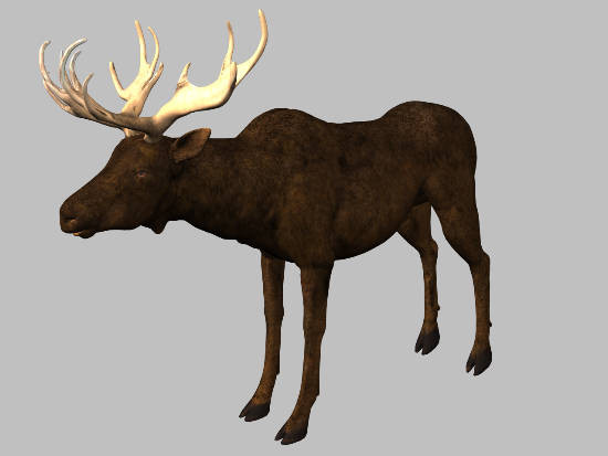 3d model animals 3d: - DOSCH 3D: Animals by Dosch Design