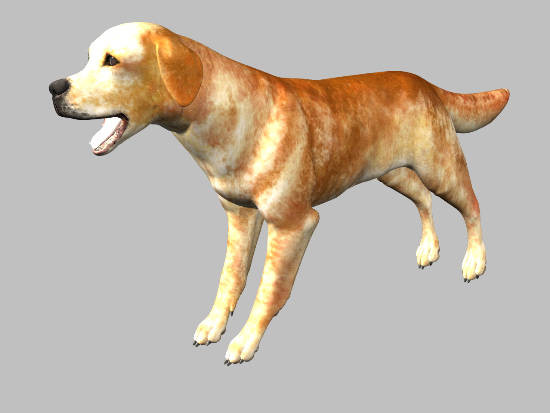 3d model animals 3d: - DOSCH 3D: Animals by Dosch Design