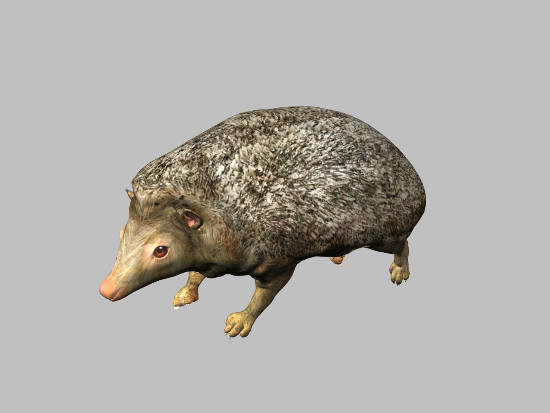 3d model animals 3d: - DOSCH 3D: Animals by Dosch Design