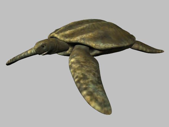 3d model animals 3d: - DOSCH 3D: Animals by Dosch Design