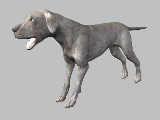 3d model animals 3d: - DOSCH 3D: Animals by Dosch Design