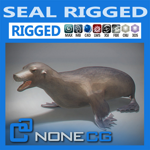 Rigged Seal 3D Models