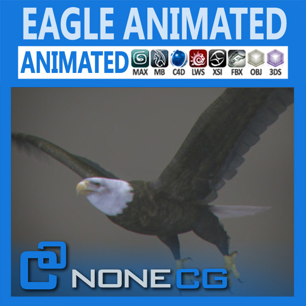 max eagle beak wings - Bald Eagle Animated by NONECG