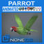 Wild Parrot Animated