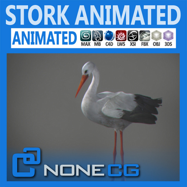 Animated Stork 3D Models