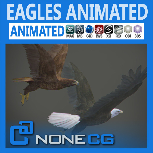 Animated Bald & Golden Eagles