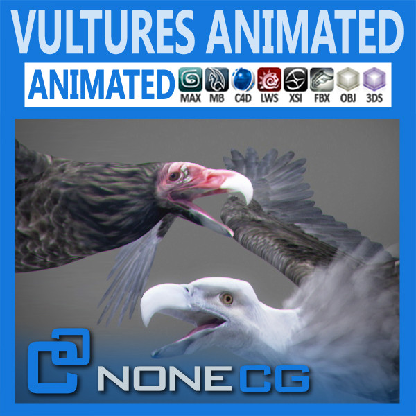 Animated Vultures 3D Models