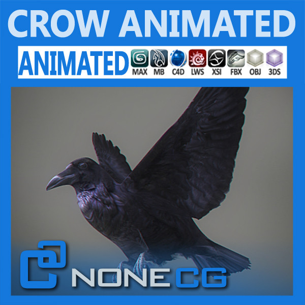 Crow Animated 3D Models