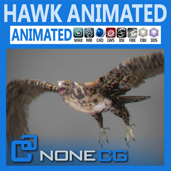 Animated Hawk 3D Models