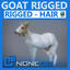 Rigged Goat