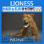 Lioness