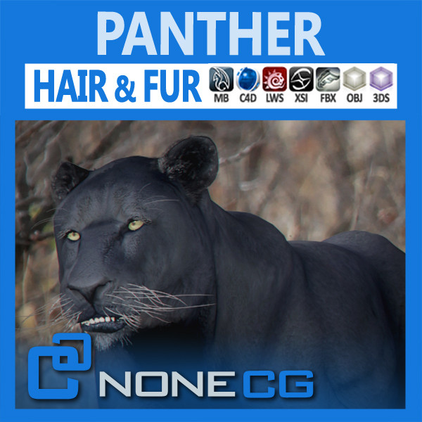 Panther 3D Models