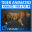 Animated Tiger
