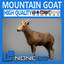 Mountain Goat