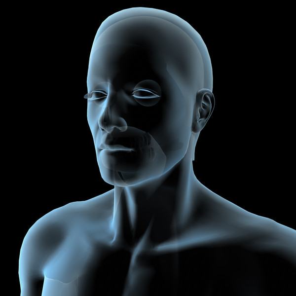 Male Anatomy - X-Ray Integumentary System 3D Models
