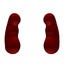 Kidneys