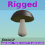 Fungus Boletus for Game