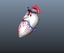 Human Heart