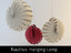 Nautilus  Hanging Lamp Shade