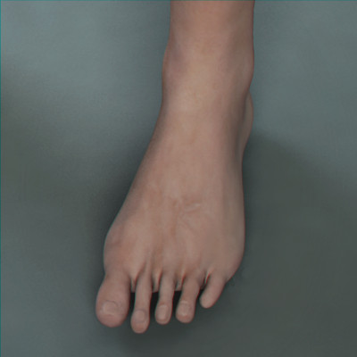 realistic male character rigged 3d max - Anatomy Male Nude Model Brian Rigged by NONECG