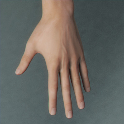 realistic male character rigged 3d max - Anatomy Male Nude Model Brian Rigged by NONECG