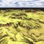 Jungle_Terrain