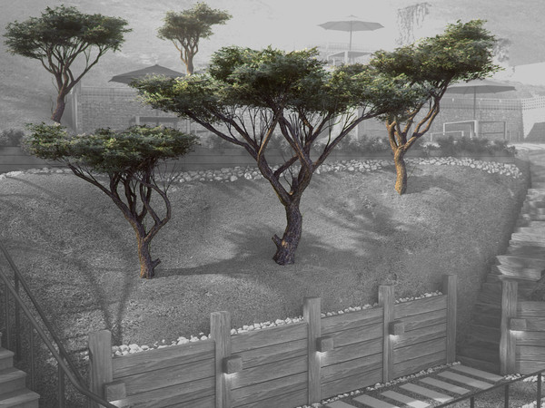 acacia tree 3d model - Acacia LowPoly tree by RTEwork