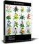 DOSCH 3D - Flowers