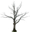 Dead tree collection
