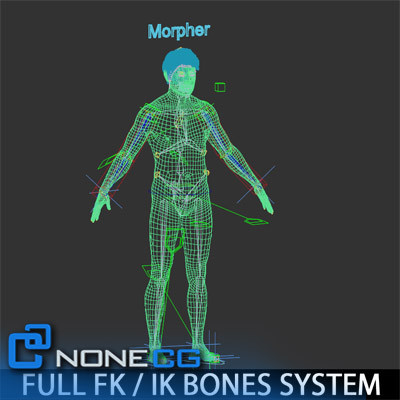 realistic male character rigged 3d x - Anatomy Male Nude Brian Rigged by NONECG