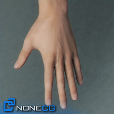 realistic male character rigged 3d x - Anatomy Male Nude Brian Rigged by NONECG