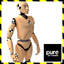 Crash test dummy