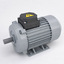 Electric motor
