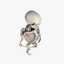 Male Skeleton and Organs with Textures