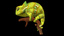 Chameleon
