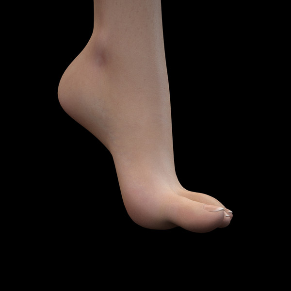 Caovilla - Foot 3D Models