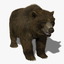 Bear (FUR)