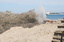 Land Reclamation_0005