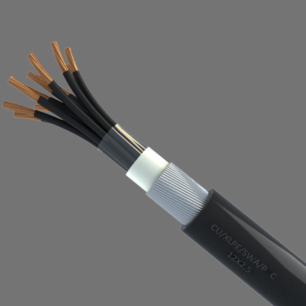 5 cable 3d model - Cable 12X2.5 by happy_maker