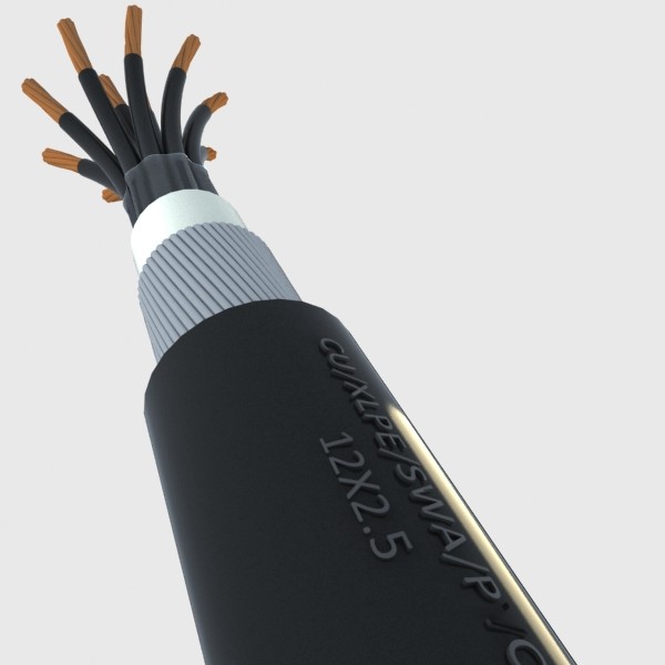 5 cable 3d model - Cable 12X2.5 by happy_maker