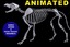 Canine Skeleton