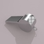 Whistle