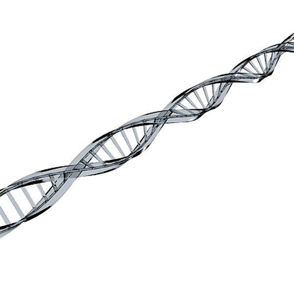 3ds dna - DNA by 3DBS
