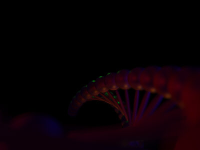 3ds dna - DNA.3ds by ekezetomer